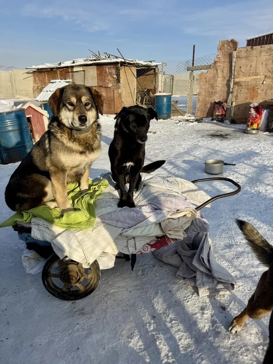 Preparing for winter: how we keep our animals warm